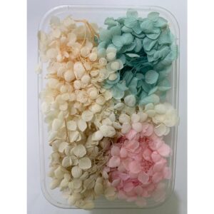 Caja Naturaleza Muerta Mixta. Caja Naturaleza Muerta Mixta.