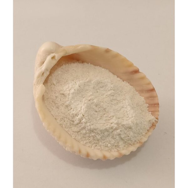 Concha Nacar 10 grs Concha Nacar 10 grs