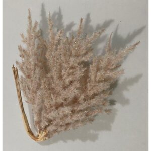 Flores de 6 ramas Flores de 6 ramas