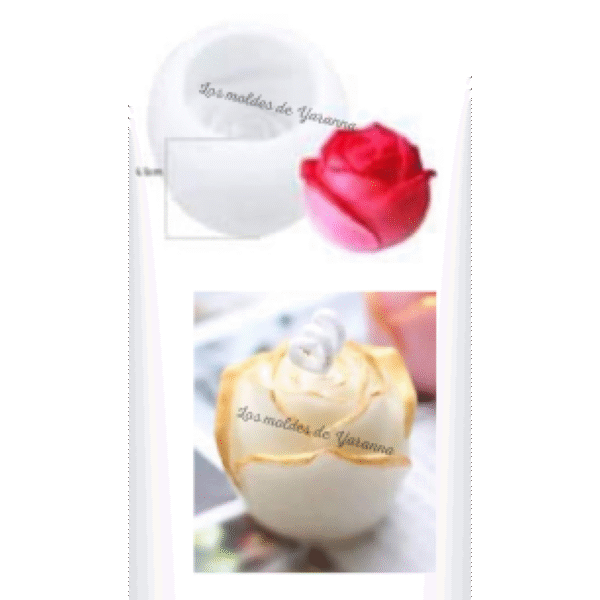 Molde Boton de Rosa Grande 3D