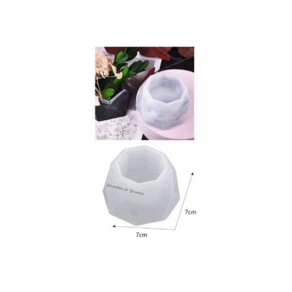 Molde Maceta Octágono #2