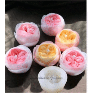 Molde Rosa 4 botones