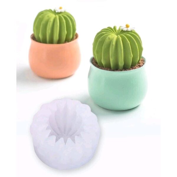 Molde Suculenta visnaga Individual