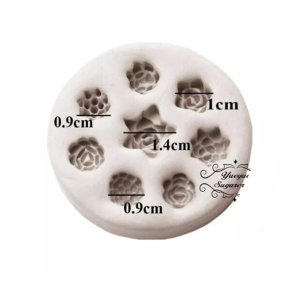 Molde Suculentas Varias #1