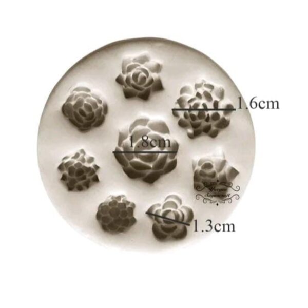 Molde Suculentas Varias #2