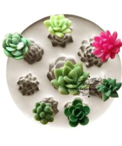 Molde Suculentas Varias #2