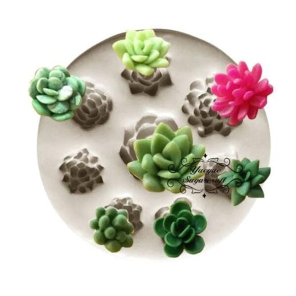Molde Suculentas Varias #2