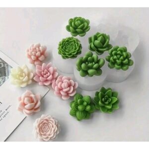 Suculentas Varias #3 Suculentas Varias #3