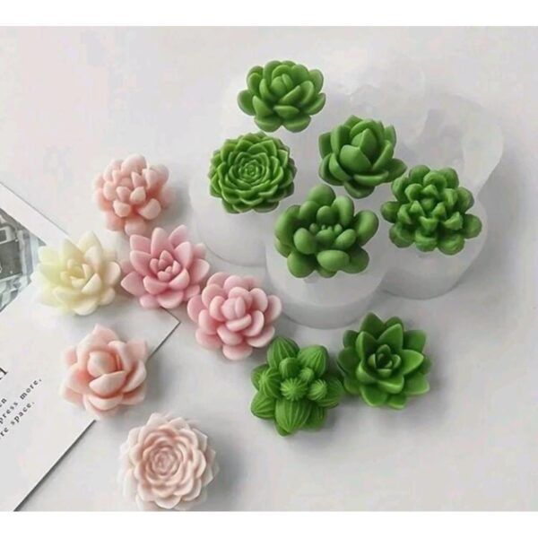 Suculentas Varias #3