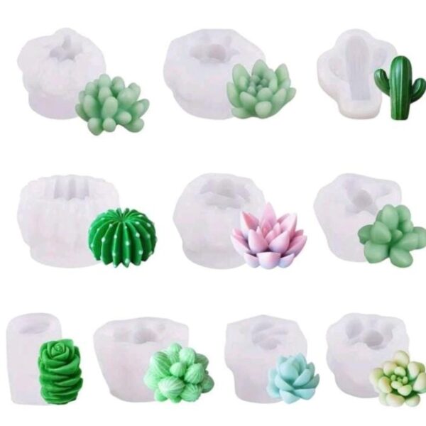 Molde Kit Suculentas 10 piezas