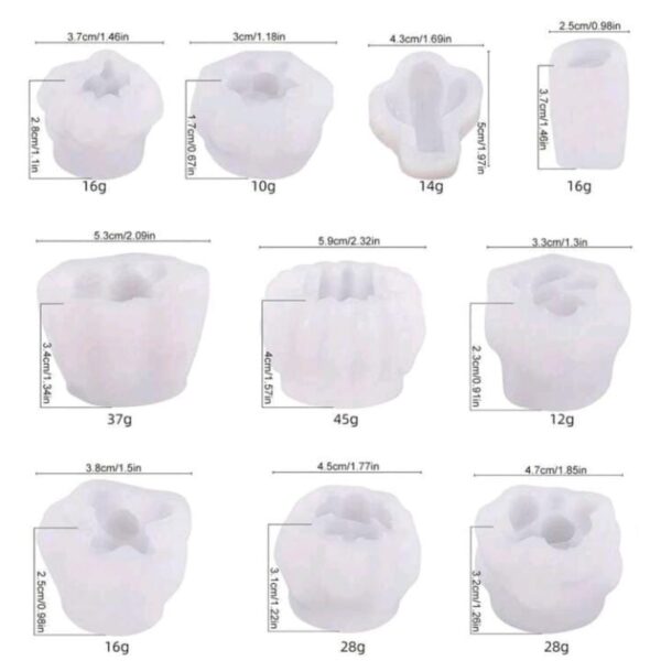 Molde Kit Suculentas 10 piezas