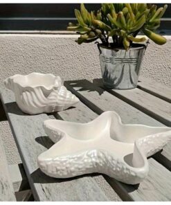 Molde Duo Estrella de mar y concha