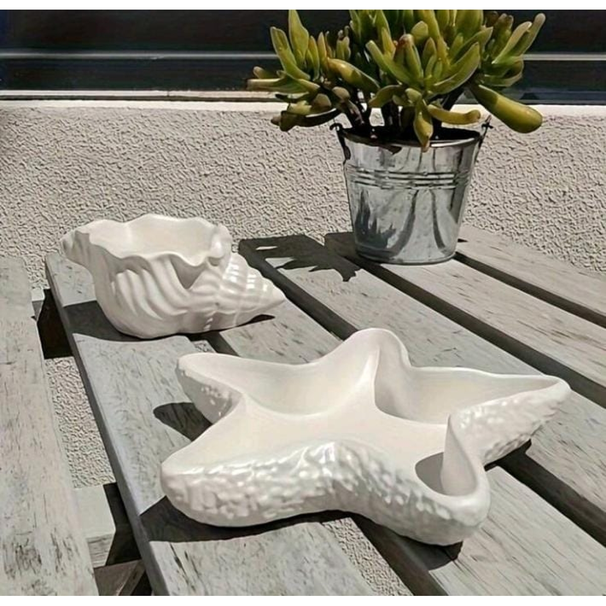 Molde Duo Estrella de mar y concha