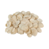Conchas decorativas para manualidades