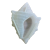 Molde Maceta caracola