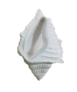 Molde Maceta caracola