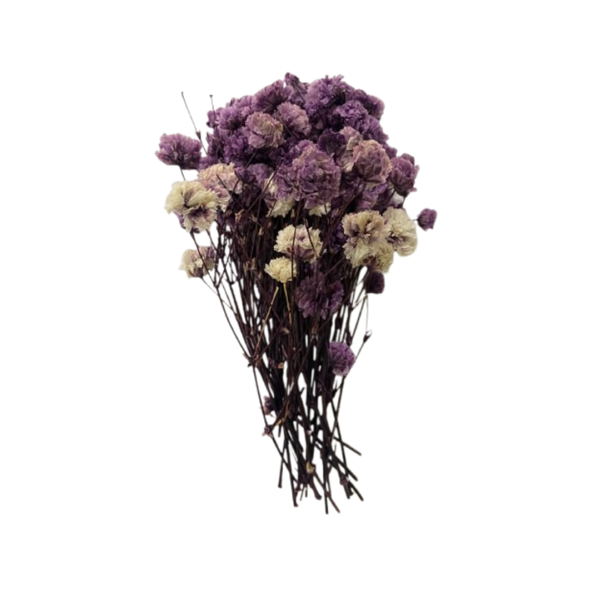 Flores secas moradas 10 g