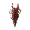 Flores secas rojas 10 g