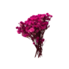 Flores secas rosas 10 g