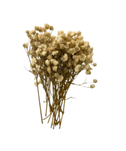 Flores secas variadas 10 g