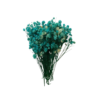 Flores secas verdes 10 g