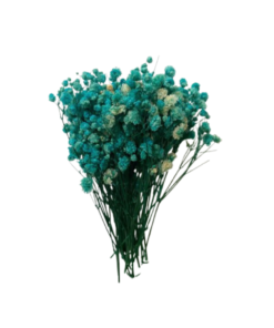 Flores secas verdes 10 g