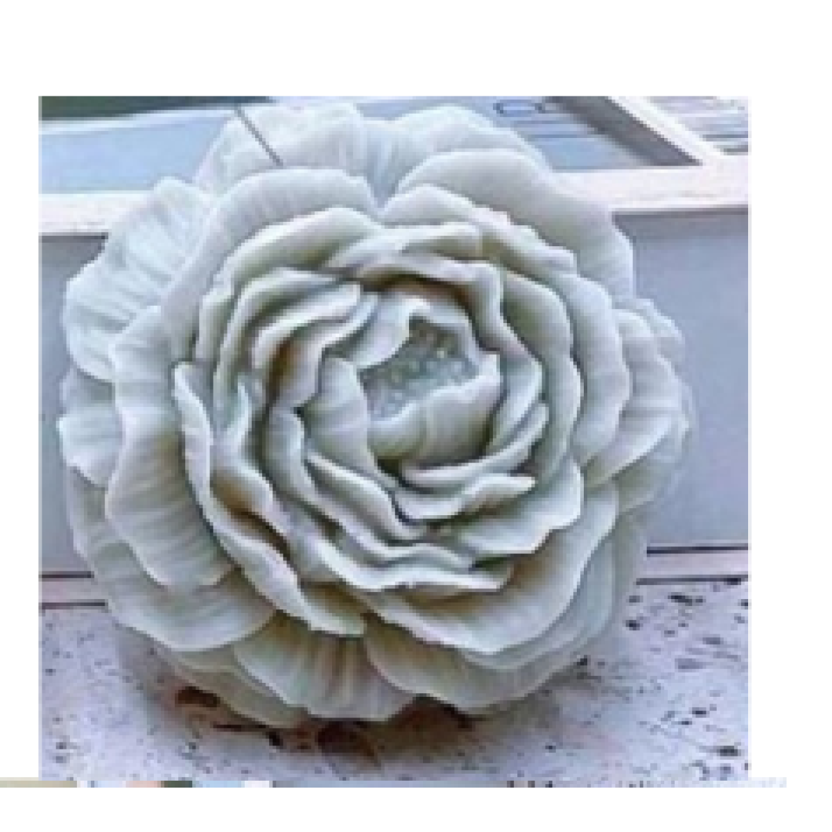 Molde Peonia grande
