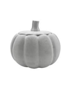 Calabazas de yeso #1