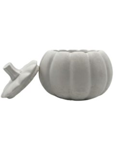 Calabazas de yeso #1